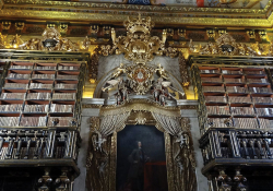 Two large, ornate and wooden bookcases flanking a gilded door