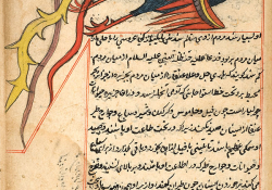 A simurgh (a monstrous mythical bird with the power of reasoning and speech). From Marvels of Things Created and Miraculous Aspects of Things Existing, by al-Qazwīnī (d. 1283/682). Courtesy of the National Library of Medicine, Islamic Medical Manuscripts collection.