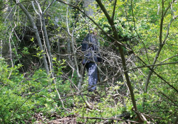 A photograph of a heavily wooded area with a clothed figure at distance, mostly obscured by growth