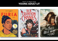 The covers to the three books discussed below with a header that reads, ‘Young Adult Lit’