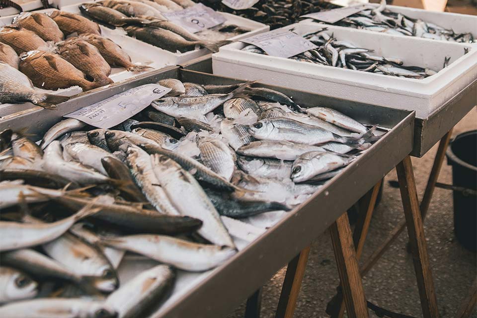 A photograph of fish laid out on a table for sale