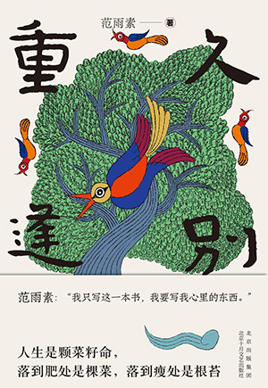 The cover to Long Time No See (Jiu Bie Chong Feng) by Fan Yusu