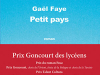 The cover to Petit pays by Gaël Faye