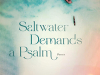 The cover to Saltwater Demands a Psalm: Poems by Kweku Abimbola