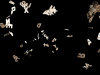 Abstract symbols hover in a black field