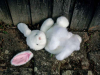 A photograph of a stuffed rabbit whose ear has fallen off