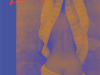 The cover to Carapace Dancer: Spanish and Didxazá (Isthmus Zapotec) Poems by Natalia Toledo