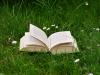 Book outside in grass