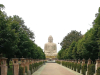 A giant statue of the Buddha as seen down a wide lane, flanked by trees on both sides