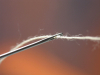 An extreme close-up of a thread passing through the eye of a needle