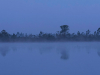 The pink moon rises over a wetland and forest at dusk.