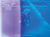 A photograph of a human figure bent over at the waist, hands submerged in a shallow pool that appears to be part of a man-made lagoon system. The photo is tinted, violet on the left and blue on the right