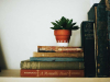 A photograph of a small stack of old books with a small succulent in a terra cotta pot resting on top of them