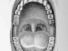 A pencil drawing of the interior of a human mouth