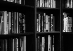 Bookself in black and white