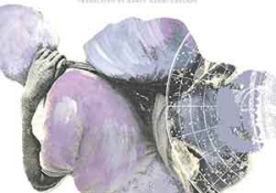 The cover to Cargo Hold of Stars: Coolitude by Khal Torabully