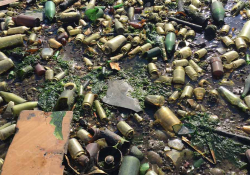 A closeup photograph of the sand on Dead Horse Bay, which is riddled with empty and broken bottles