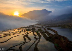 A photograph of a flooded rice terrace as the sun rises