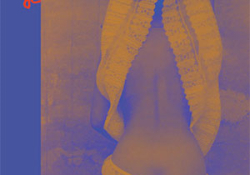 The cover to Carapace Dancer: Spanish and Didxazá (Isthmus Zapotec) Poems by Natalia Toledo