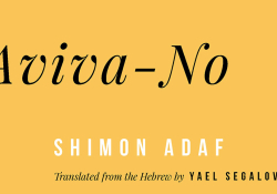 A detail from the cover to Aviva-No by Shimon Adaf. The translator Yael Segalovitz is identified.