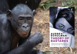 A photograph of bonobo with the cover to Audrey Schulman's A Theory of Bastards inset