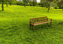 A photograph of a simple wooden bench sitting on a bright green sloping hill covered in grass with trees dotting the landscape in the backgroundf