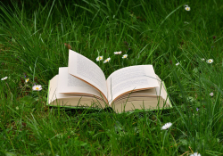 Book outside in grass