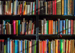 Colorful books on a bookshelf
