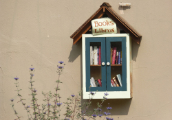Small outdoor library box with books in English and Spanish