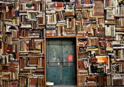 A wall of books with a blue door.