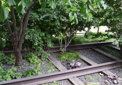 A garden grows up from within the rails of an abandoned train line