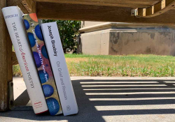 A photograph of the three books discussed below, spines facing the viewer, in shade beneath a bench outside