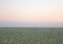 A verdant landscape stretches toward the horizon