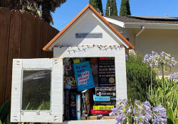 A small outdoor library with books inside an open door