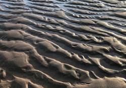 A sandy beach, capping with small dunes, as water infills the spaces between