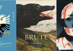 The covers to Pajtim Statovci’s Crossing, Emily Skaja's Brute, and Yoko Ogawa's The Memory Police 