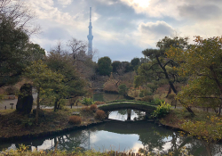 Mukōjima-Hyakkaen Garden in Tokyo
