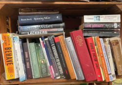 A photograph of a book shelf, crowded with books